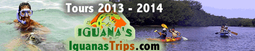 Iguanas Trips