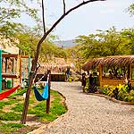 Lo Nuevo en Restaurantes en Mancora