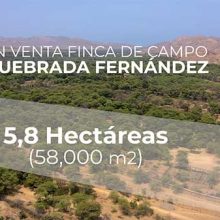 Amplia propiedad en venta en Quebrada Fernández de 5,8 hectáreas.