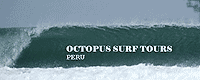 Octopus Surf Tours