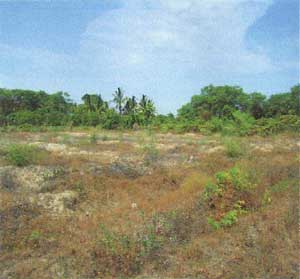 Foto Terrenos en Venta