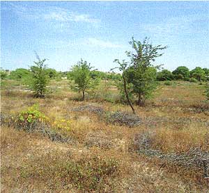 Foto Terrenos en Venta