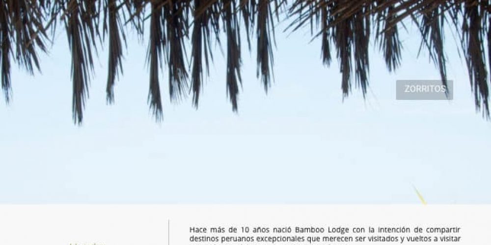 Bamboo Lodge de Zorritos presenta su nueva web
