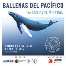 1er Festival Virtual “Ballenas del Pacífico”