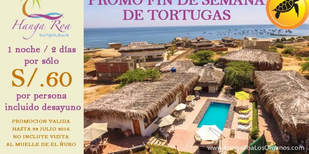 Promo Fin de Semana de Tortugas en Hanga Roa